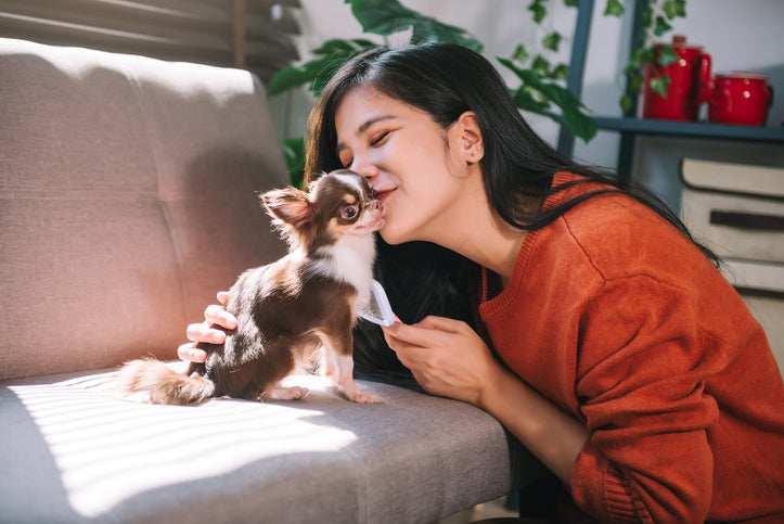 Understanding the Emotional Connection Between Dogs and Their Owners