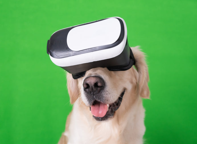 Paws and Pixels: A Journey into the World of Virtual Reality for Dogs