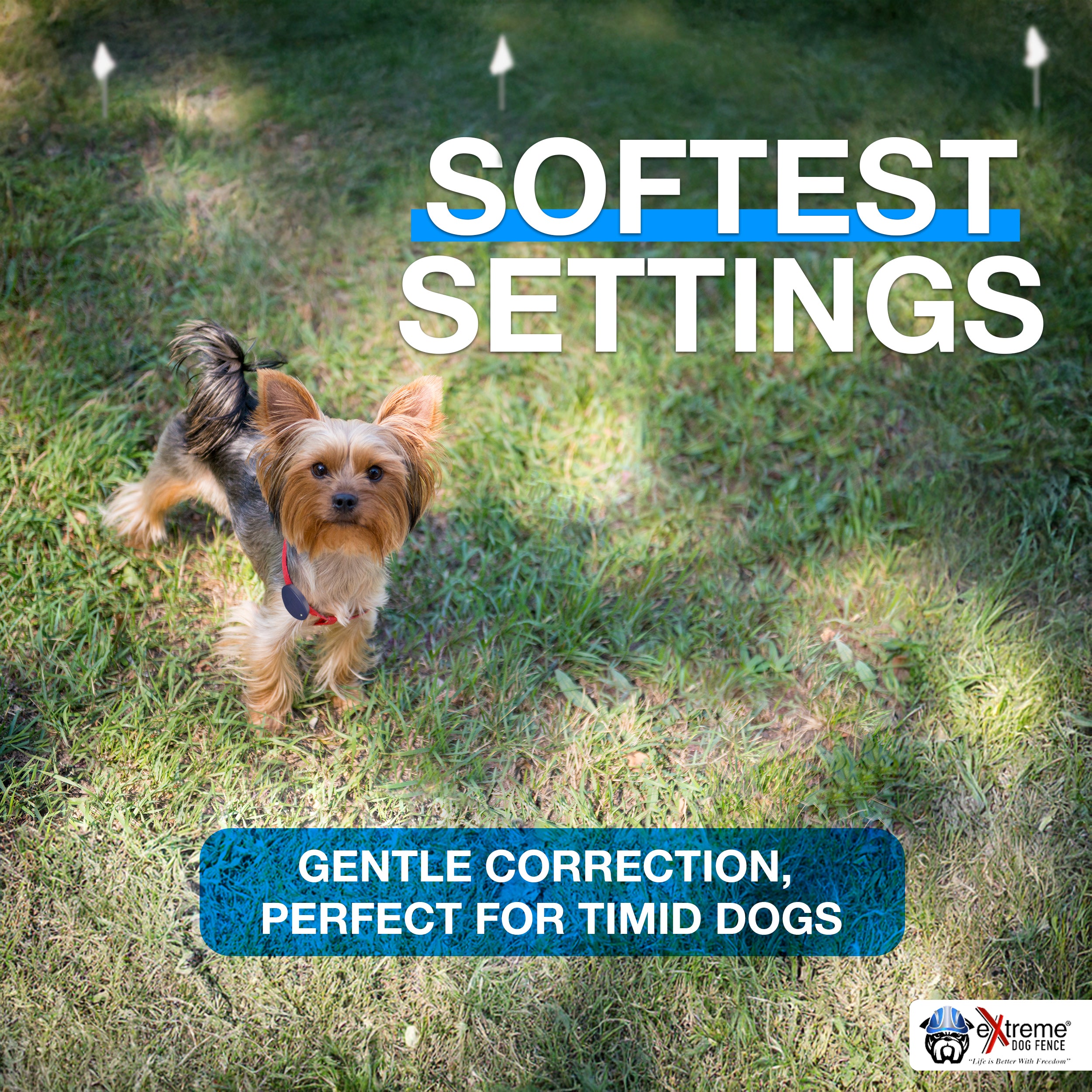 eXtreme Dog Fence® Extreme Timid Dog Fence