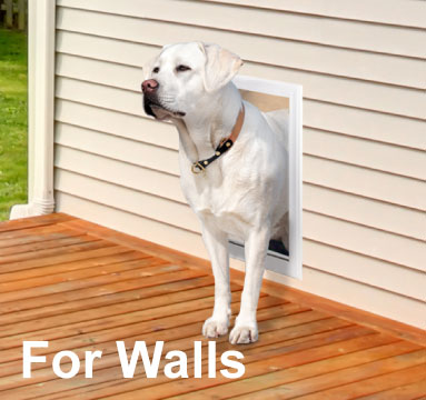 Dog Doors for Walls