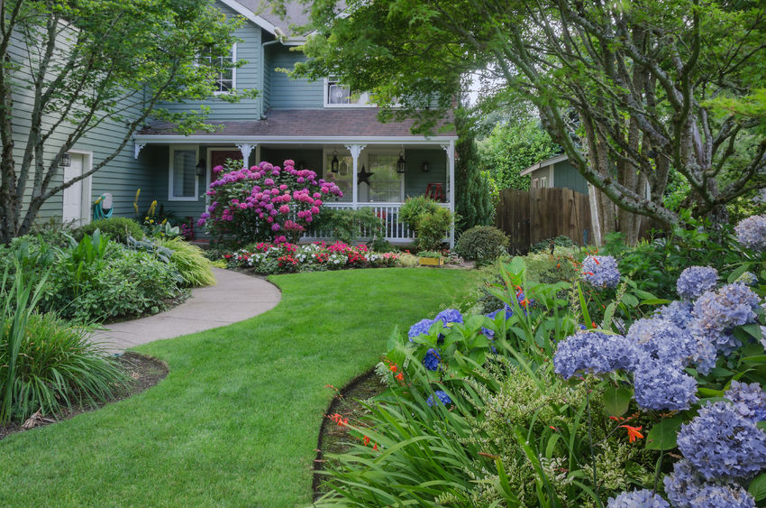 5 Common Mistakes to Avoid When Installing an Underground Dog Fence