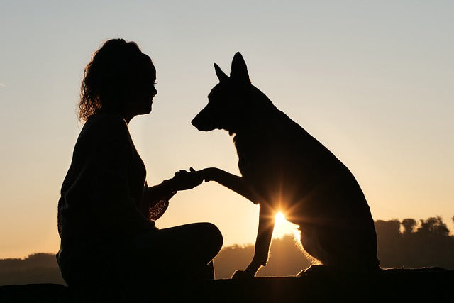 6 Reasons Why Dogs are Man's Best Friend