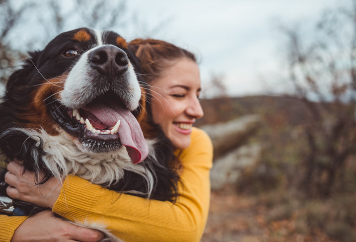 5 Ways Dogs Bring You Peace