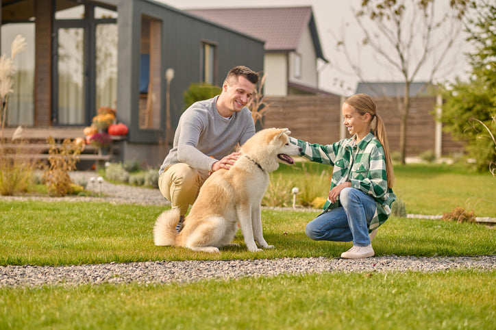 The Fascinating Connection Between Dogs and Human Health: A Look at the Science