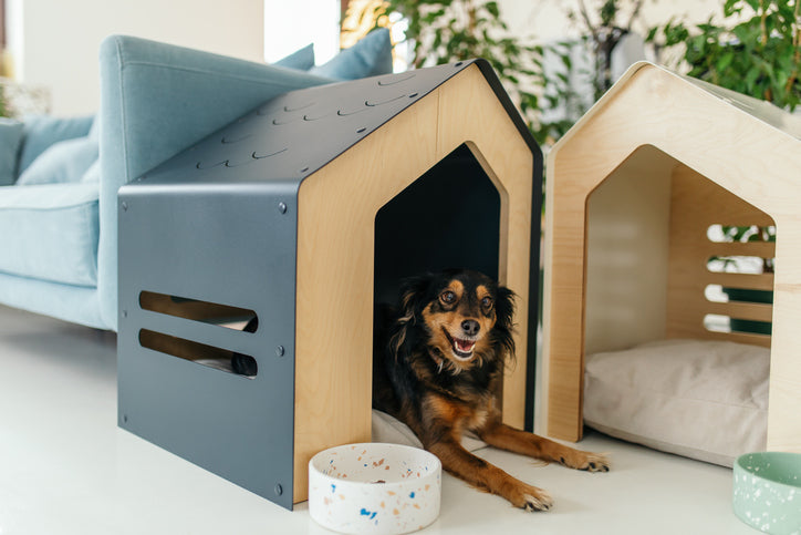 Unique and Innovative Dog Houses for Every Breed