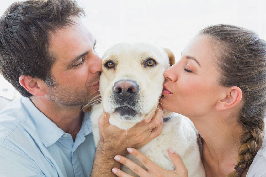 Pet Custody After a Breakup - What You Need to Know