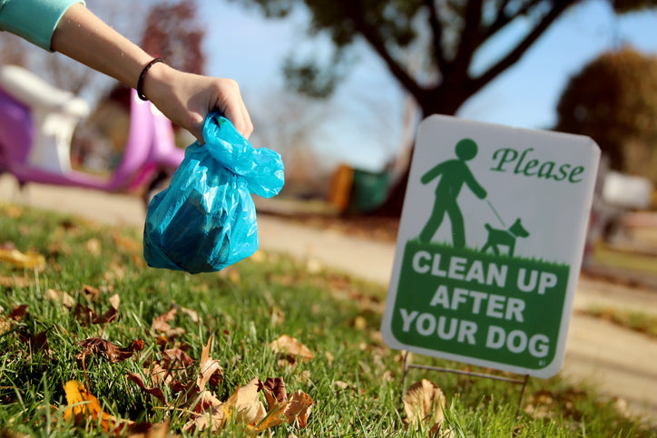 Green Paw Prints: Eco-Friendly Ways to Clean Up After Your Dog on a Walk