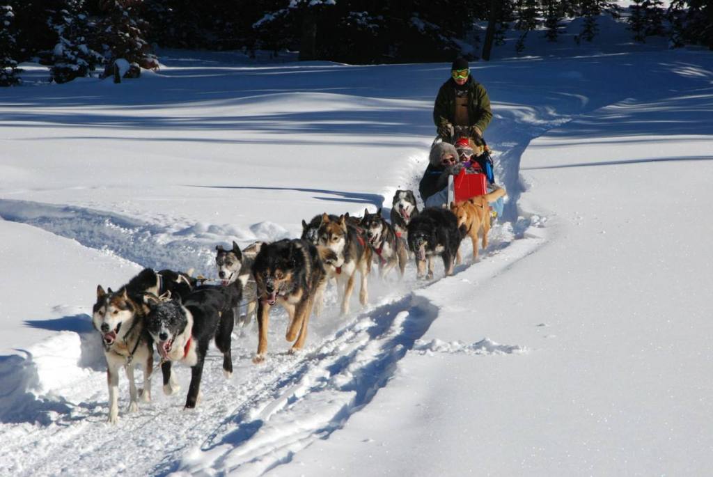 A Brief History of Dog Sledding