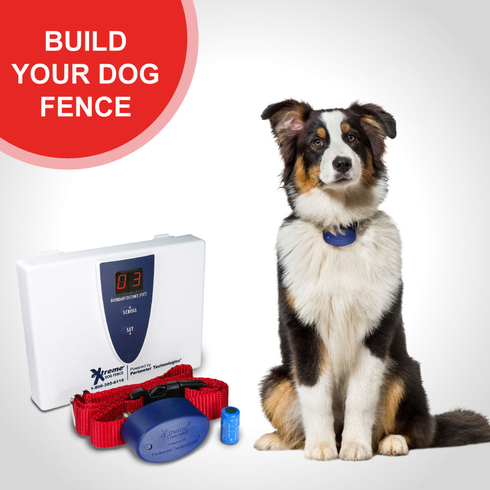 Build Your Dog Fence - Active Collar