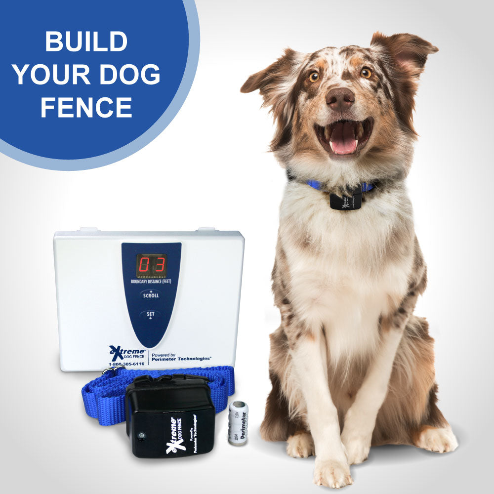 Build Your Dog Fence - Stubborn Collar