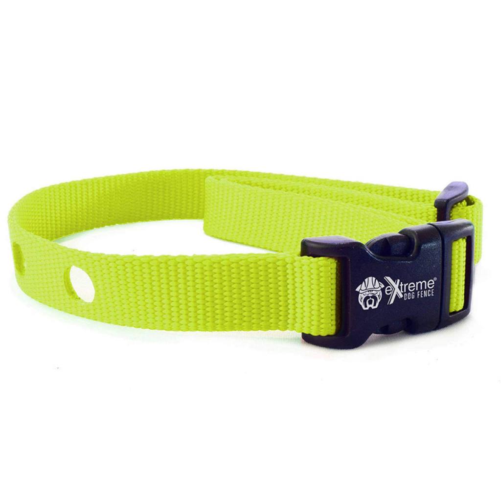 Collar Strap - Lime