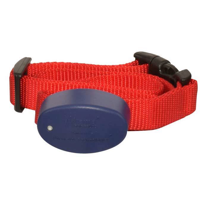 Dog Collar Receiver