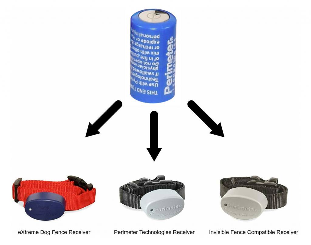 Perimeter 6v battery