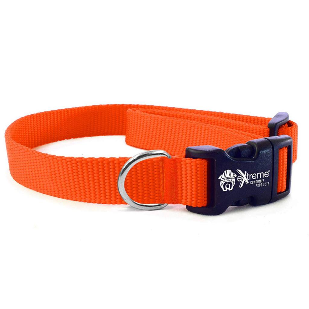 Collar Strap - Bright Orange