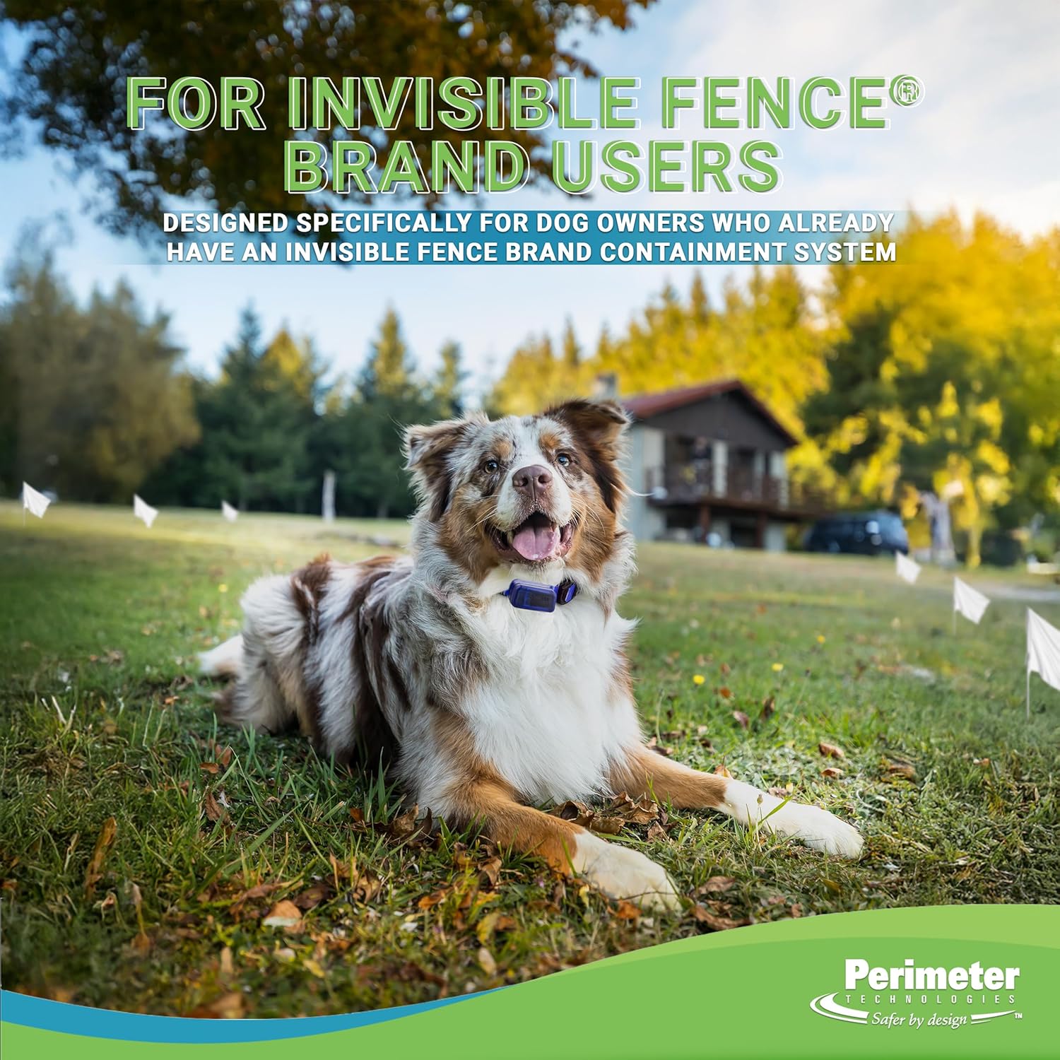 Rechargeable perimeter connect for Invisible Fence®