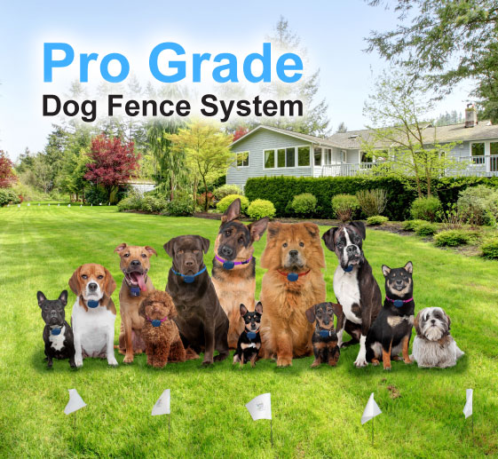 Extreme dog fence second hot sale generation