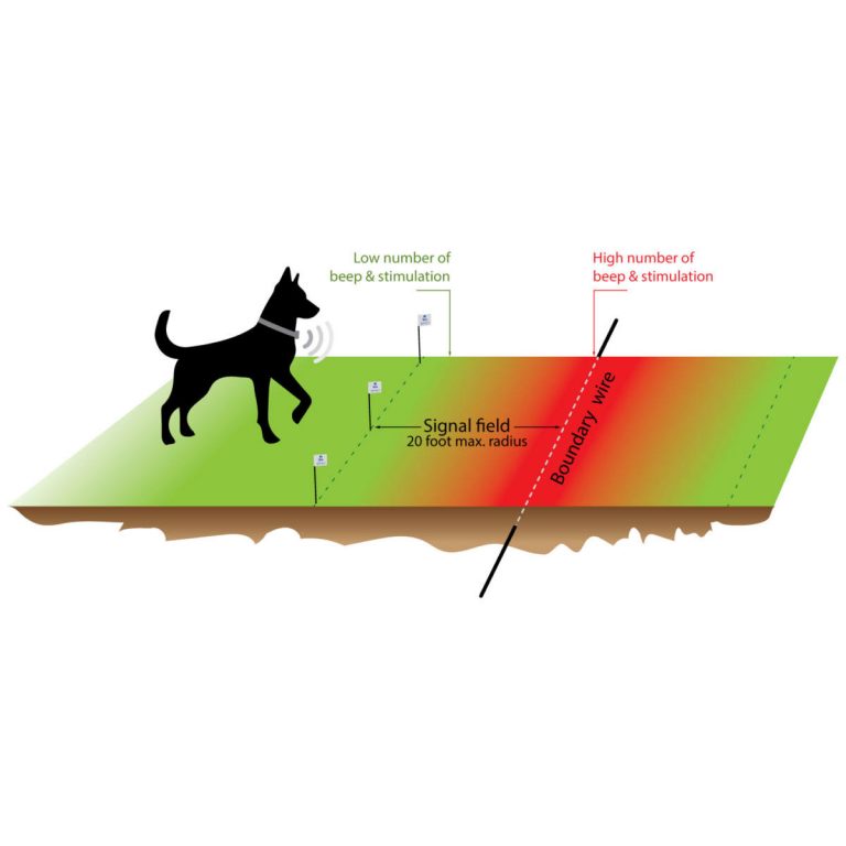 Extreme Dog Fence Pro Grade System Dog Fence Kit 2022