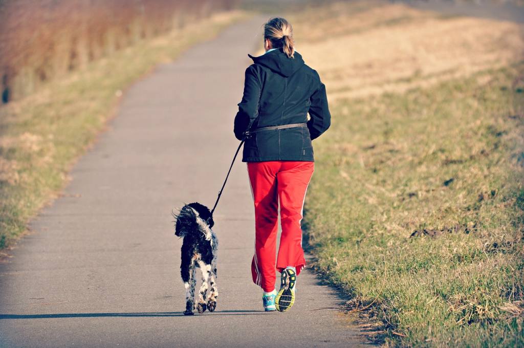 how-to-add-your-dog-to-your-exercise-routine-extreme-electric-dog-fence-2023-diy-kits