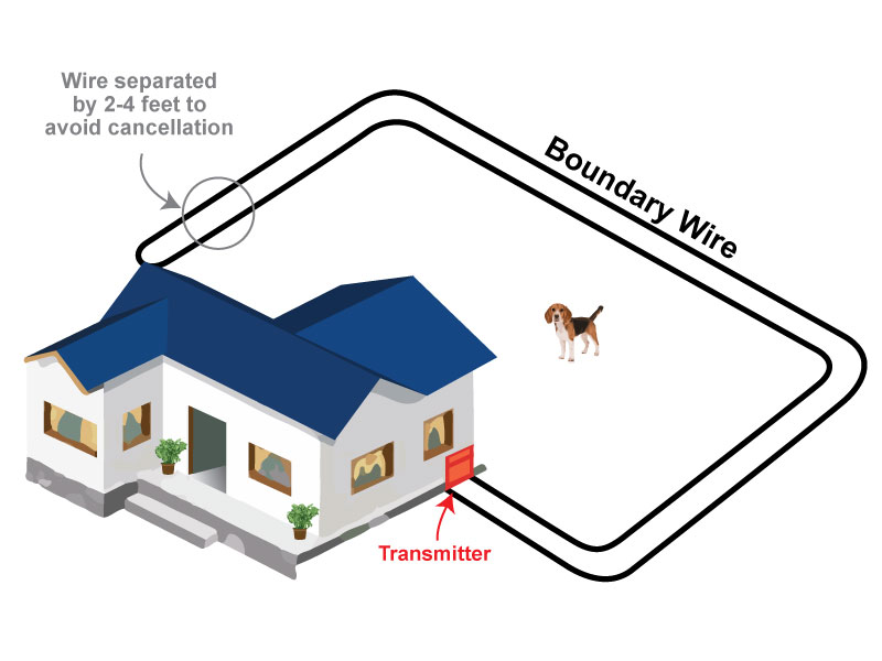 Electronic dog barrier for home best sale