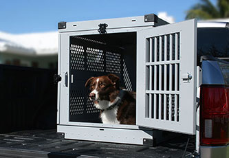 Dog sitting inside Crate