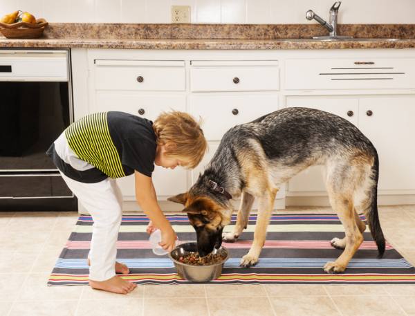 how-pets-teach-children-responsibility-extreme-electric-dog-fence