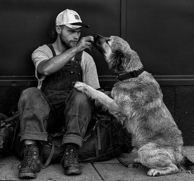 Canine Companionship: The Unbreakable Bond Between Humans and Dogs - Extreme Electric Dog Fence 